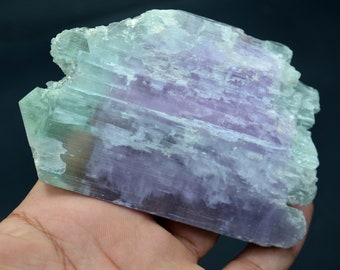 227 Grams Bi Color Natural Kunzite Crystal From Afghanistan