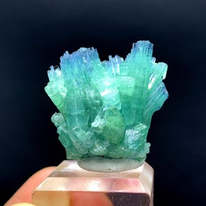 Indicolite Niebieski Turmalin Klaster z Afganistanu - 18 gram