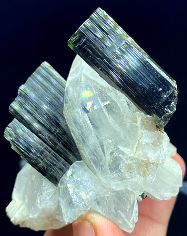 May include: A cluster of clear quartz crystals with multiple green and black tourmaline crystals. The tourmaline crystals are long and slender, with a striated surface.