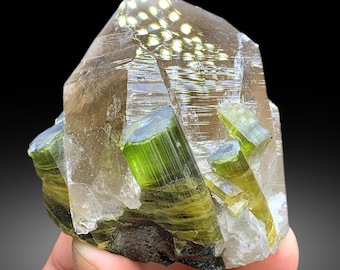 最高品質の美しい天然13.7グラムのスモーキークォーツとバイカラー