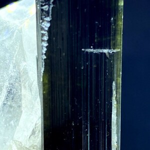 May include: A dark green and black crystal with striations. The crystal is a prism shape and has a smooth, polished surface.