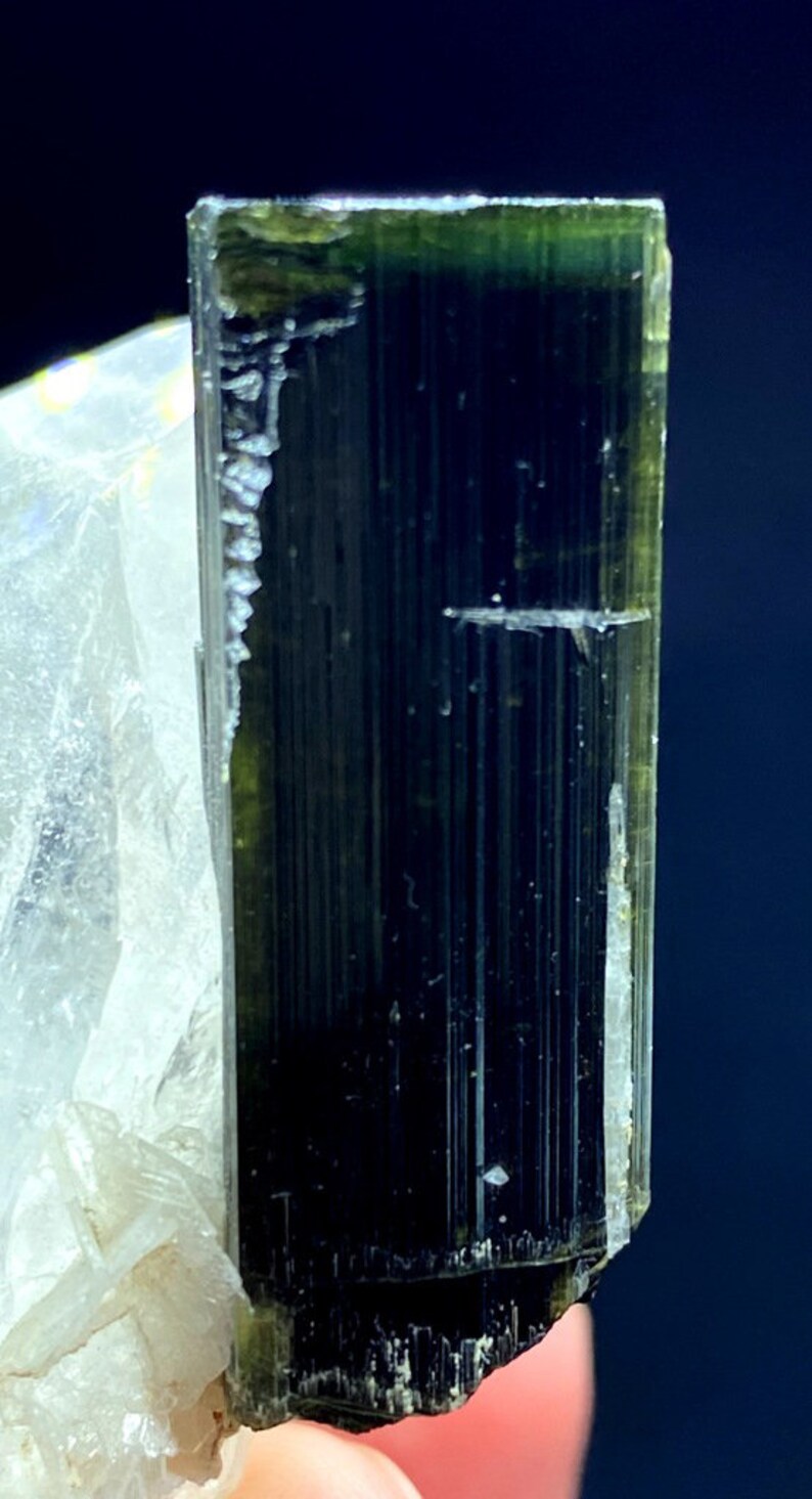 May include: A dark green and black crystal with striations. The crystal is a prism shape and has a smooth, polished surface.