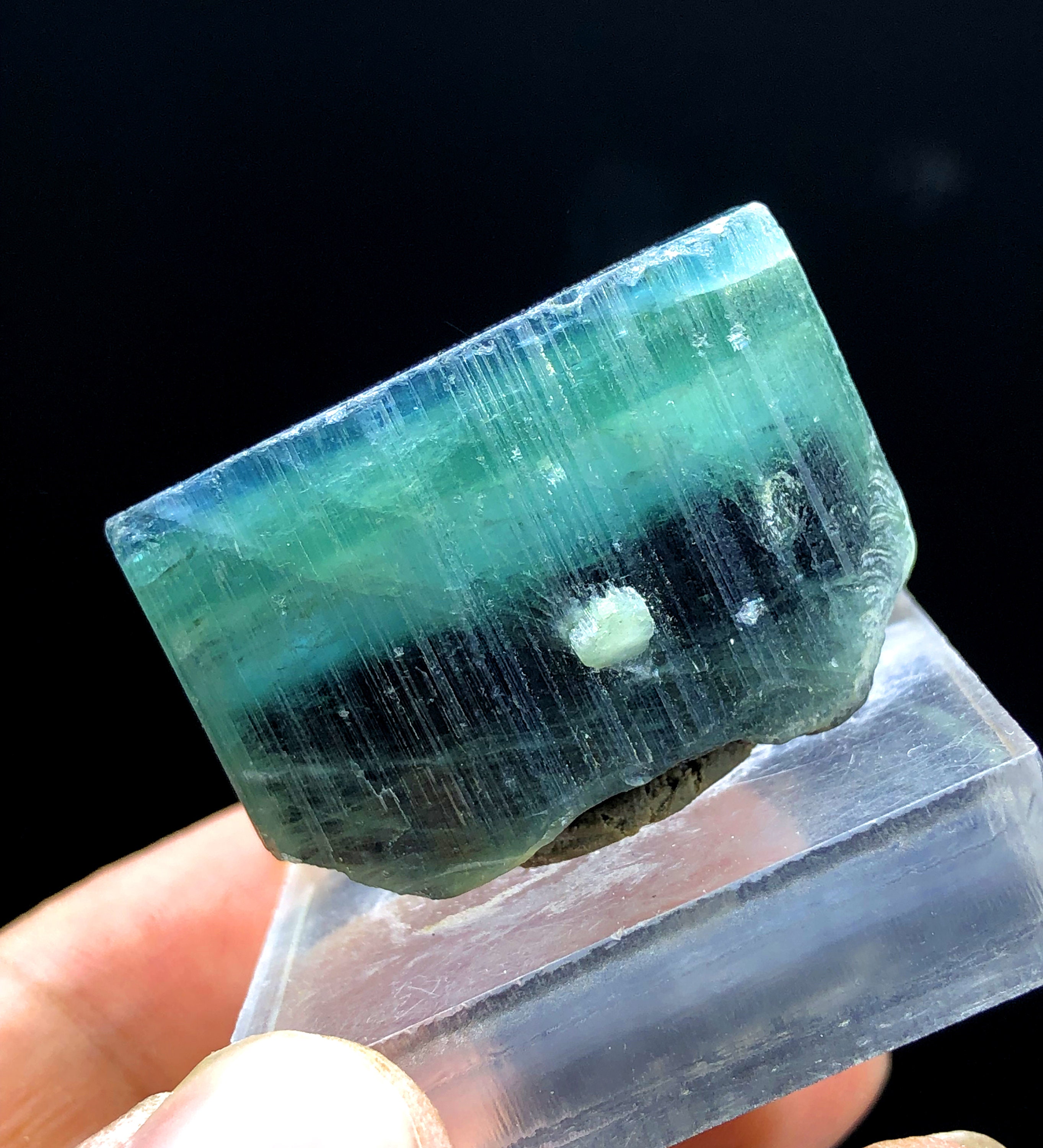 ブルーキャップトルマリンクリスタル：アフガニスタン産の未加工の