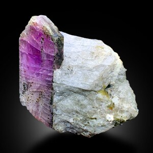 May include: A vibrant pink ruby crystal embedded in a matrix of white quartz. The ruby has a striated surface and is partially covered in black inclusions. The quartz matrix is rough and textured.