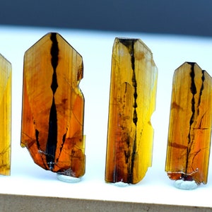 May include: Five brown and black crystals with a striated pattern. The crystals are arranged in a row on a white surface.