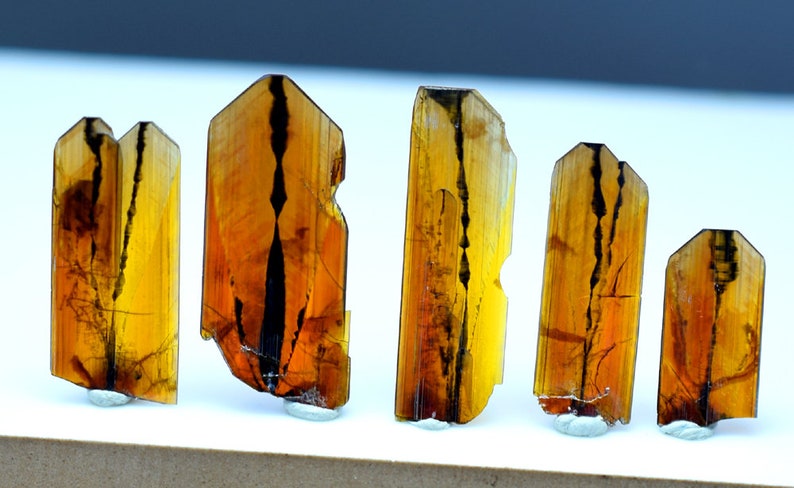 May include: Five brown and black crystals with a striated pattern. The crystals are arranged in a row on a white surface.