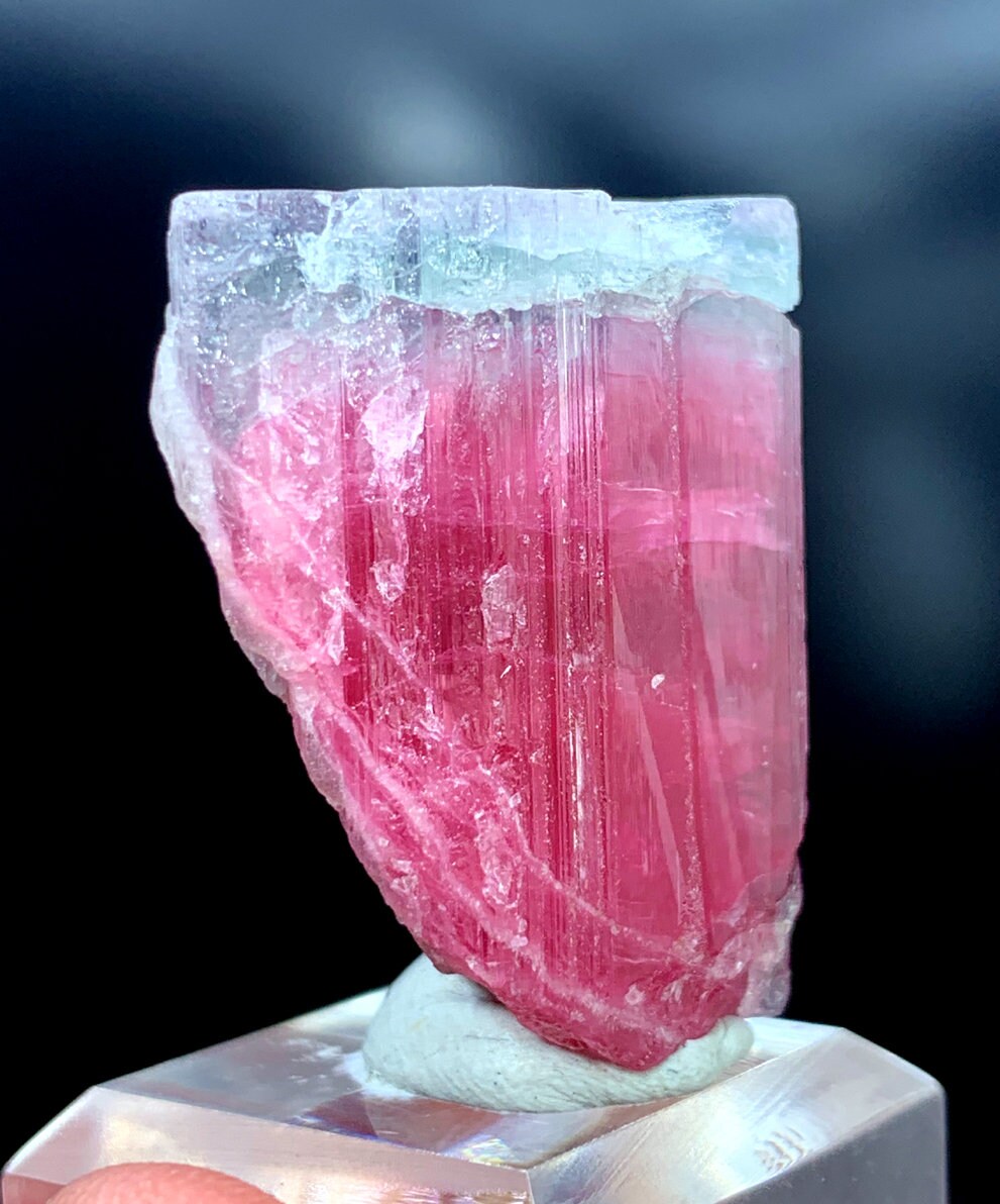 バイカラートルマリン結晶：ブルーキャップ原石鉱物標本