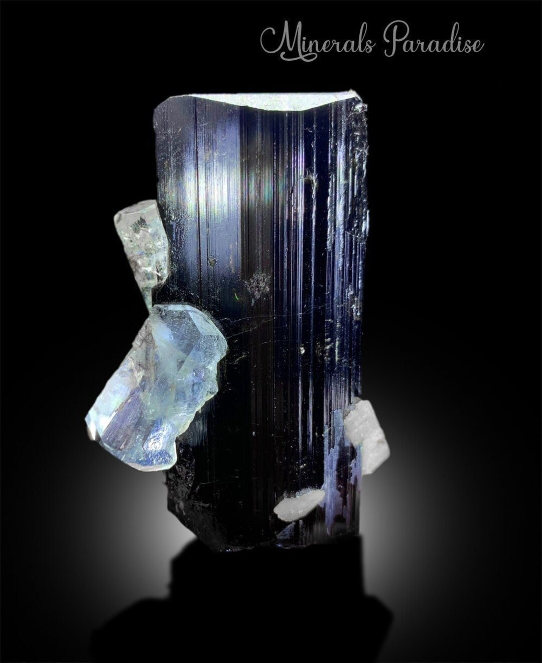 Aquamarine Crystal on Tourmaline Natural Aquamarine Black - Etsy
