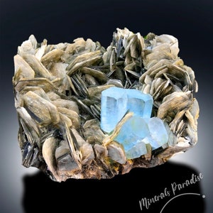 Natural Aquamarine Crystals with Muscovite Mica, Aquamarine Cluster, Aquamarine Specimen, Aquamarine for sale, 1441 gram