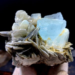 May include: A cluster of light blue aquamarine crystals on a bed of gray and white mica. The aquamarine crystals are translucent and have a glassy luster.