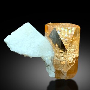 May include: A large, clear, orange-brown topaz crystal with a sharp, pointed termination. The crystal is sitting on a bed of white, opaque, crystalline material.