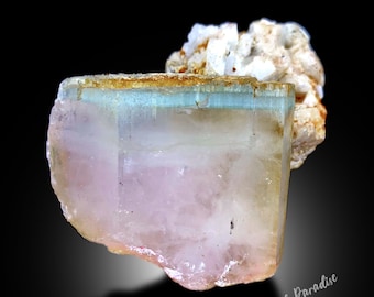 AquaMorganite Crystal, Bi-Color Beryl Crystal, AquaMorganite Crystal With Albite Mineral Specimen - 104 gram