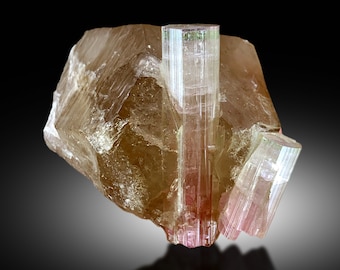 May include: A cluster of pink and green tourmaline crystals embedded in a clear quartz matrix. The crystals are translucent and have a glassy luster.