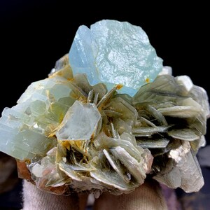 May include: A cluster of light blue aquamarine crystals on a bed of gray mica. The aquamarine crystals are translucent and have a glassy luster. The mica is layered and has a silvery sheen.
