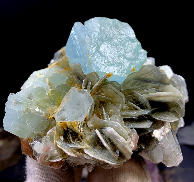 May include: A cluster of light blue aquamarine crystals on a bed of gray mica. The aquamarine crystals are translucent and have a glassy luster. The mica is layered and has a silvery sheen.