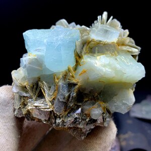 May include: A cluster of light blue aquamarine crystals embedded in a matrix of gray and brown mica. The crystals are translucent and have a glassy luster.