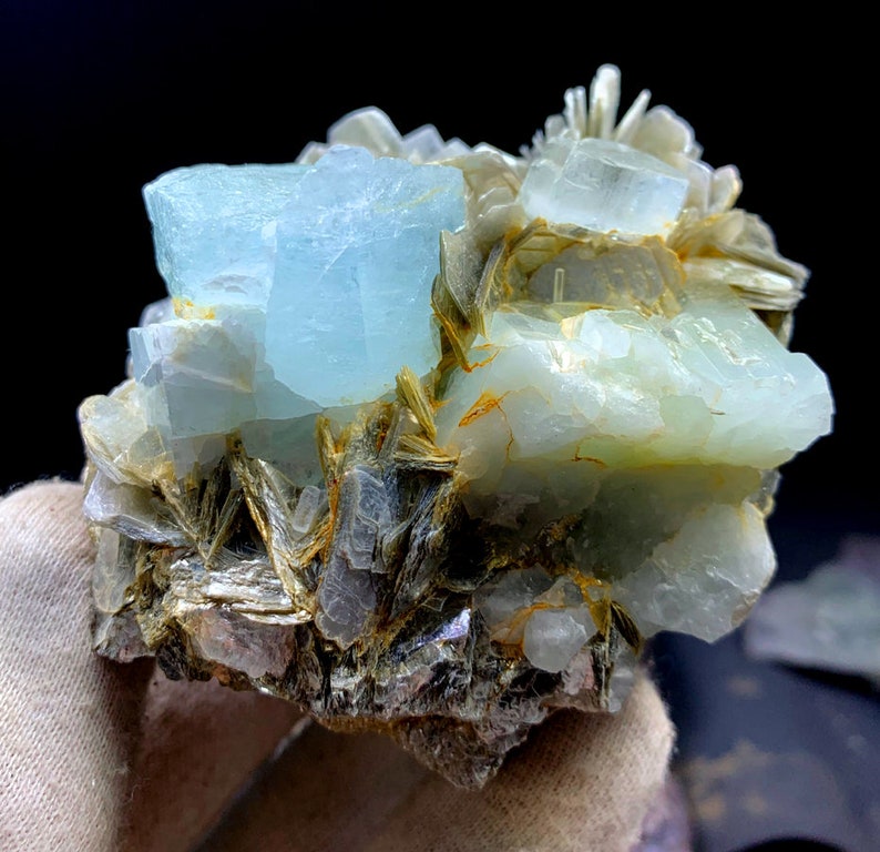 May include: A cluster of light blue aquamarine crystals embedded in a matrix of gray and brown mica. The crystals are translucent and have a glassy luster.