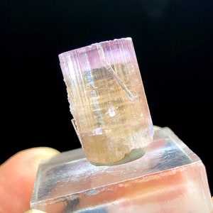 Natural Terminated Bicolor Tourmaline Crystal from Paproke Afghanistan - 35.00 cts