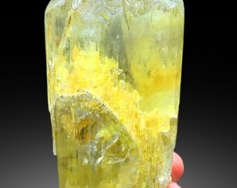 イエロートリフェーンクンツァイト結晶標本：原石鉱物宝石（708グラム