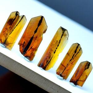 May include: Five translucent, brown and black, elongated crystals with striations. The crystals are arranged in a row on a white surface.