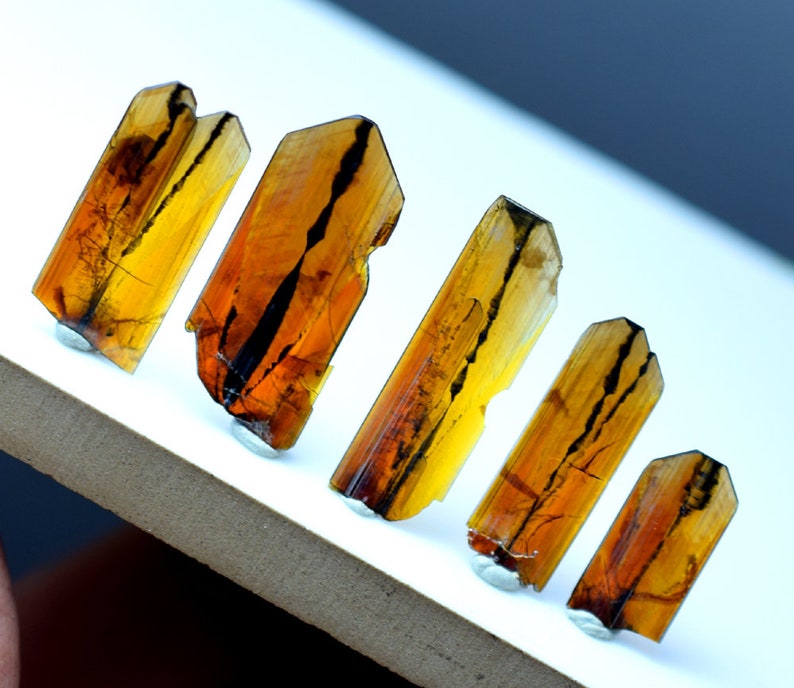 May include: Five translucent, brown and black, elongated crystals with striations. The crystals are arranged in a row on a white surface.