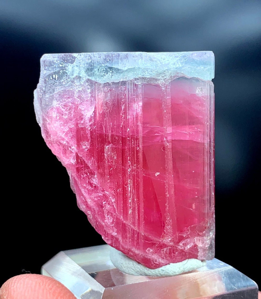 ブルーキャップ トルマリン 鉱物 原石 標本 バイカラートルマリン Santa Rosa鉱山 ブルーキャップトルマリン | 鉱物標本,タ行