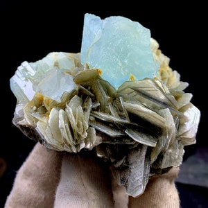 May include: A cluster of aquamarine crystals on a bed of mica. The aquamarine crystals are a light blue color and have a glassy luster. The mica is a dark gray color and has a flaky texture.
