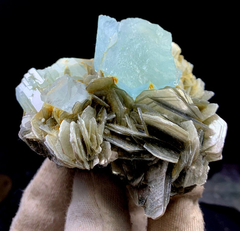 May include: A cluster of aquamarine crystals on a bed of mica. The aquamarine crystals are a light blue color and have a glassy luster. The mica is a dark gray color and has a flaky texture.