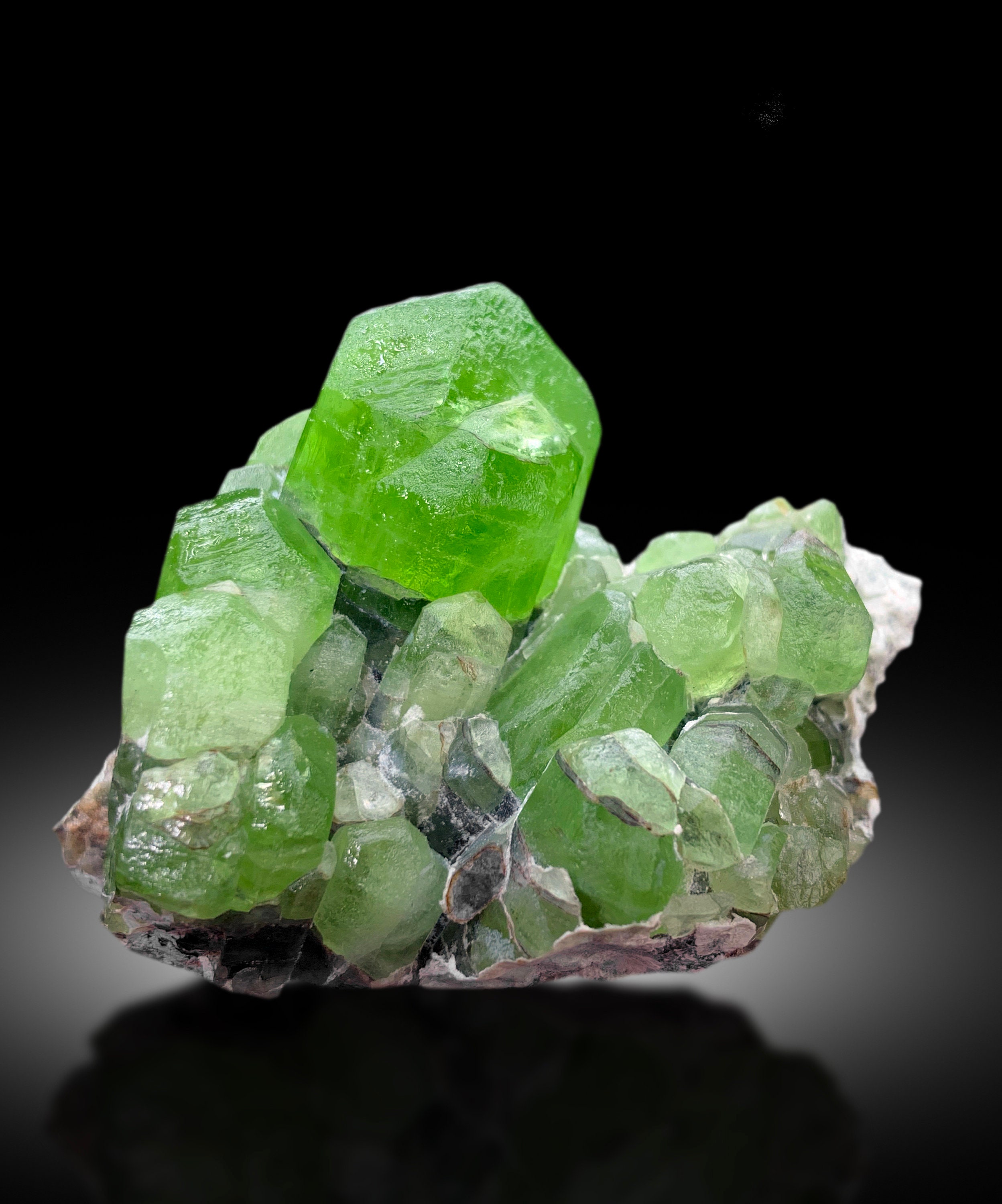 天然グリーンペリドット標本。 天然ペリドット 5.97ct 【極美】 ジェム品質 トリリアント