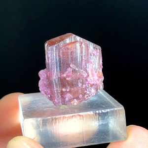 Natural Red Rubelite Tourmaline Crystal - Raw Rough Gemstone (54.70 cts)