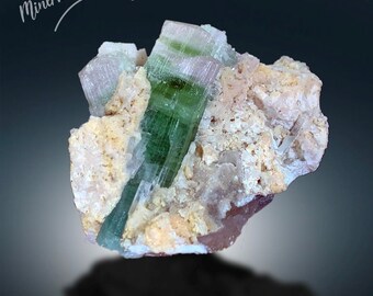 トルマリン標本、パプロク産の母岩上の二色トルマリン結晶、106 グラム