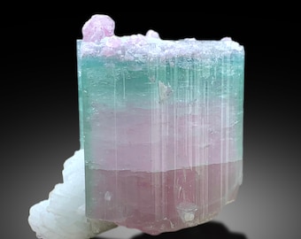 May include: A large, multi-colored tourmaline crystal with green, pink, and white layers. The crystal is sitting on a bed of white quartz crystals.