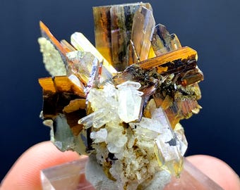 Rare Red Brookite Cluster with Quartz from Baluchistan Pakistan - 50.85 carats