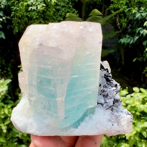 May include: A large, translucent crystal formation with a pale blue and white color gradient. The crystal has a layered appearance with a rough, textured surface. A cluster of black and white minerals is attached to the side.