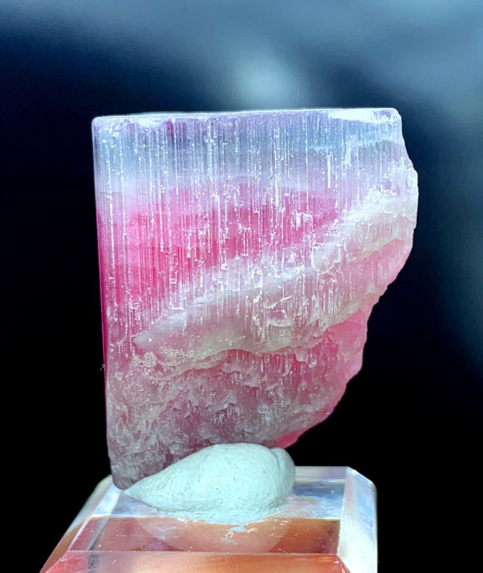 バイカラートルマリン結晶：ブルーキャップ原石鉱物標本