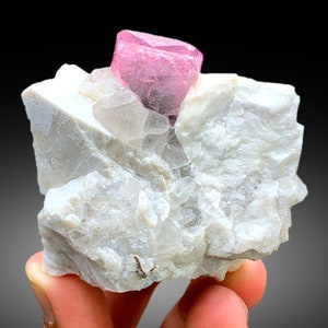 May include: A pink, translucent, faceted crystal sits atop a white, rough, rock matrix. The crystal is a vibrant pink color and has a sharp, geometric shape.
