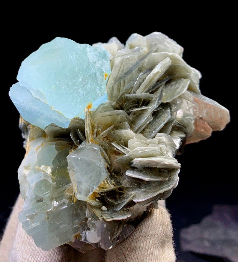 May include: A cluster of light blue aquamarine crystals embedded in a matrix of gray mica. The aquamarine crystals are translucent and have a glassy luster. The mica is opaque and has a pearly luster.