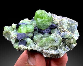 May include: A cluster of green grossular garnet crystals with black schorl tourmaline crystals on a matrix. The garnets are well-formed and have a glassy luster.