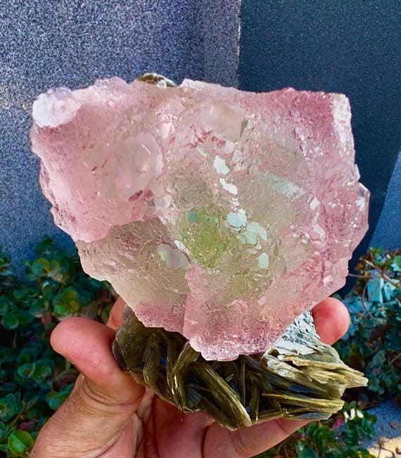 Pink Fluorite crystal on Mica, Fluorite Specimen from Pakistan, 525 Gram