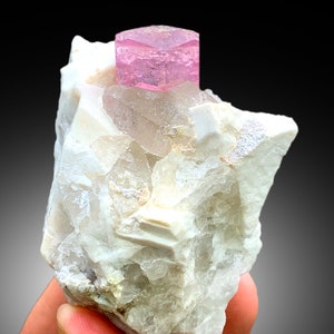 May include: A pink tourmaline crystal on a white matrix of quartz crystals. The tourmaline is a hexagonal prism with a smooth, glassy surface. The quartz crystals are clear and have a rough, textured surface.