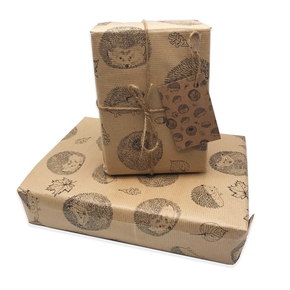Quality Cute Hedgehog Gift Wrap & Matching Tag 100% recyclable wrappi…