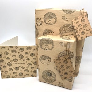 Hedgehog 8 piece gift wrap set. Very cute, quality, great value. 2 x Wrap, 2 x Gift Tags, 1 x Card, Cute Hedgehogs for Birthdays or any Day