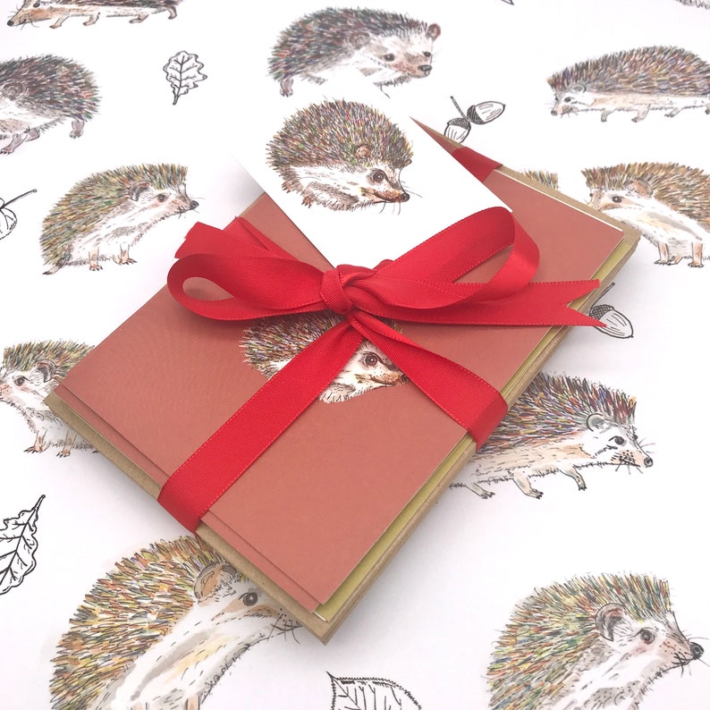 K&ouml;nnte beinhalten: Ein Set von Gru&szlig;karten mit Illustrationen von Igeln. Die Karten sind mit einem roten Band zusammengebunden und in einem wei&szlig;en Umschlag mit einer Igel-Illustration verpackt.