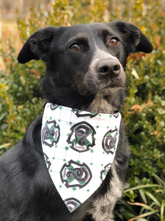 slytherin cat collar