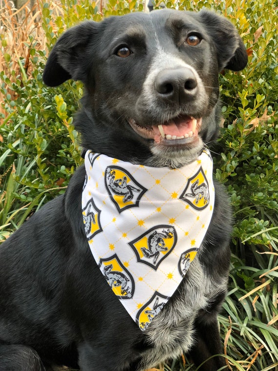 hufflepuff cat collar