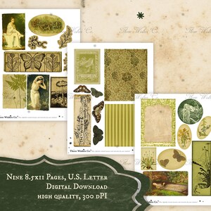 Wald Hexe Ephemera Kit, Scrapbook Collage, Grimoire Seiten (Digitaler Download) Bild 2