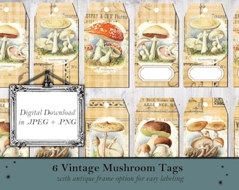 Vintage Mushroom Tags, Botanical Clipart, Junk Journal Ephemera (Digital Download)