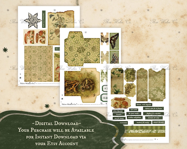 Wald Hexe Ephemera Kit, Scrapbook Collage, Grimoire Seiten (Digitaler Download) Bild 4