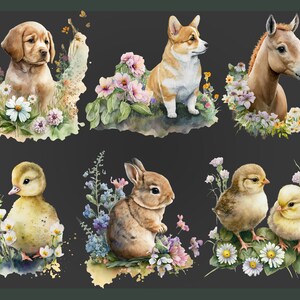 Farm Animals PNG, Clip Art, Baby, Birthday, Nursery, Farmyard, Calf