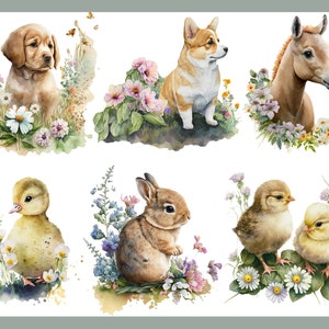 Farm Animals PNG, Clip Art, Baby, Birthday, Nursery, Farmyard, Calf